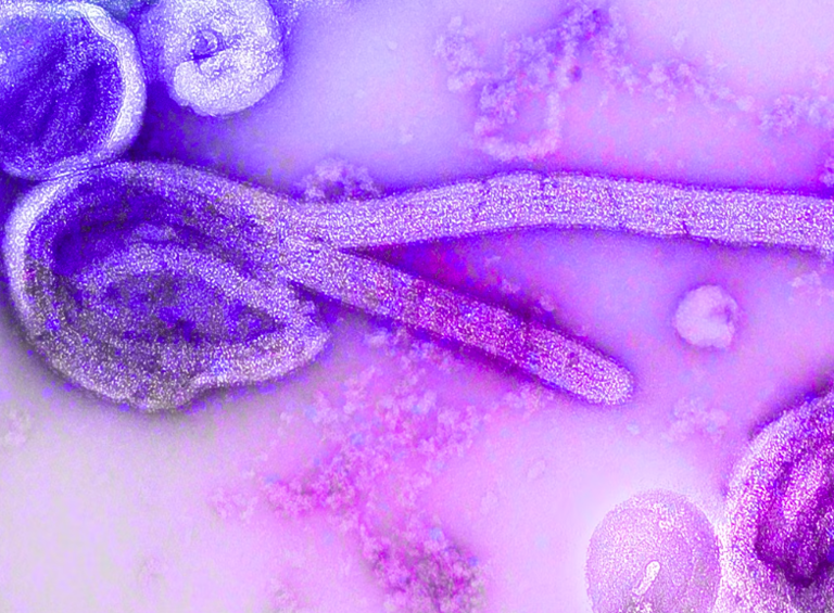 'Explosive diarrhea' parasite outbreak balloons past 700 cases in ...