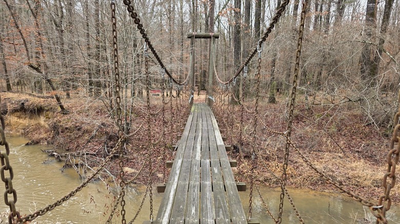 A wooden bridge in the woods at Cane Creek State Park, Arkansas