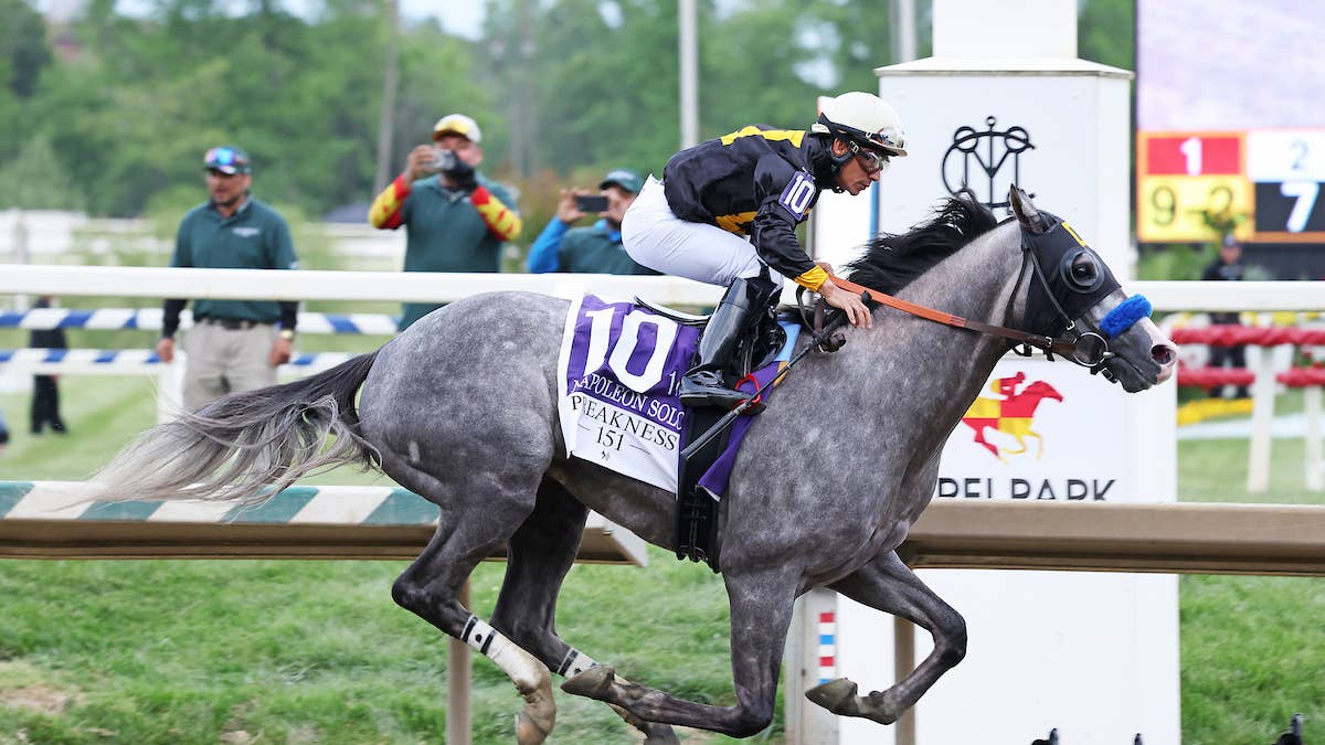 Napoleon Solo, Iron Honor head 19 Haskell nominations
