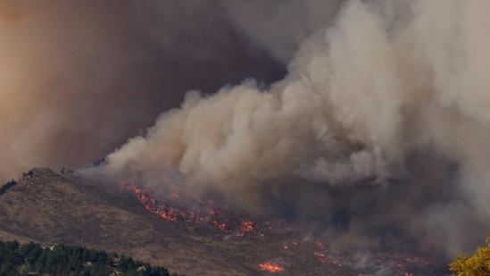 Encino fire: Brush fire off Encino Avenue in Los Angeles County ...
