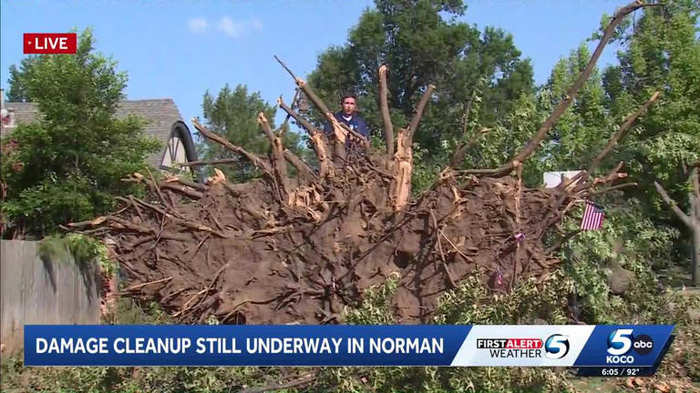 What to know about debris collection in Norman after July 4 storms
