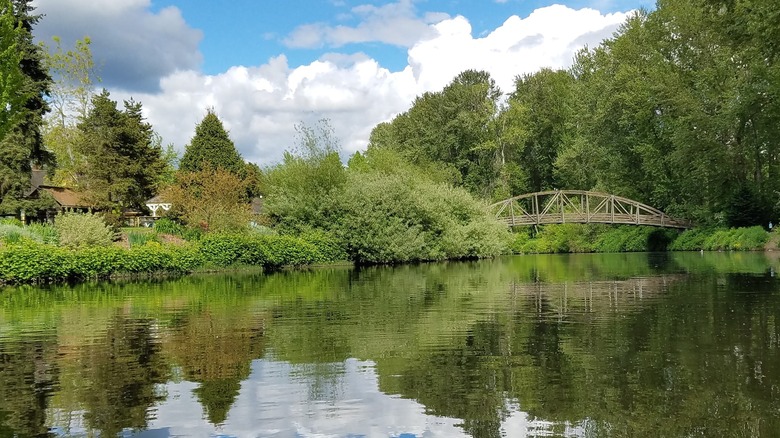 Bushes and houses line Sammamish River in Bothell with bridge crossing it