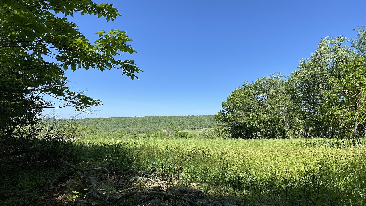 The Blue Ridge Park near Thurmont, Maryland is free, wild, and full of ...