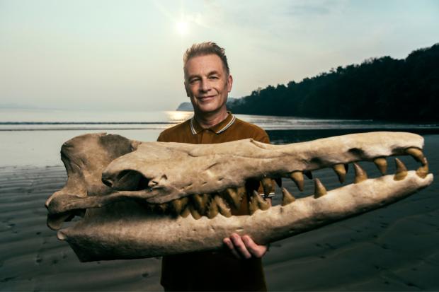 Chris Packham to lead new BBC series covering 4 billion years of evolution