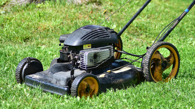 The right way to tip a lawn mower over without damaging it (and why you ...