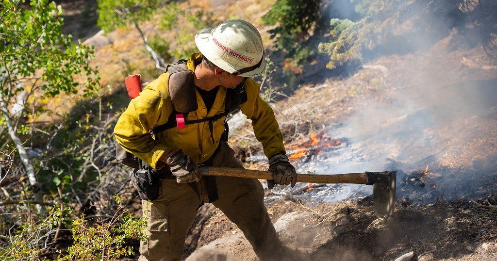 Study: Controlled burns can save taxpayers billions
