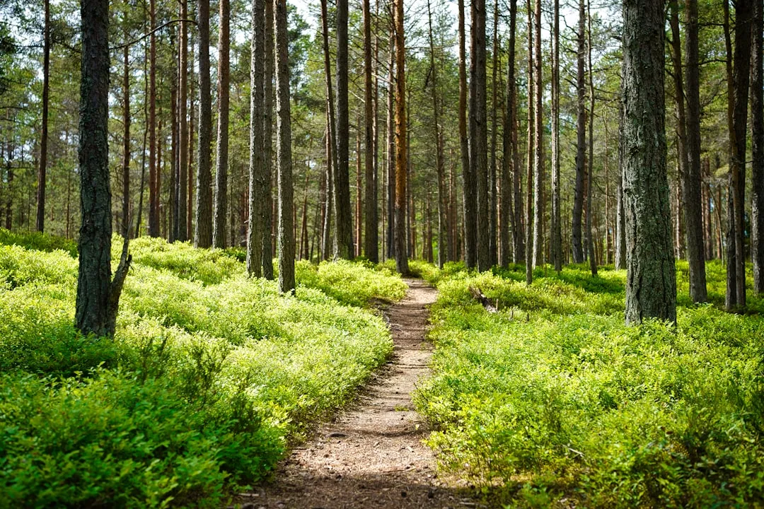 Trails and Preserves Just Beyond Town (Image Credits: Unsplash)