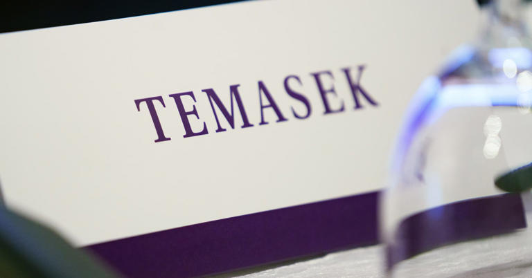 Singapore's Temasek hits record portfolio value, eyes more investment ...