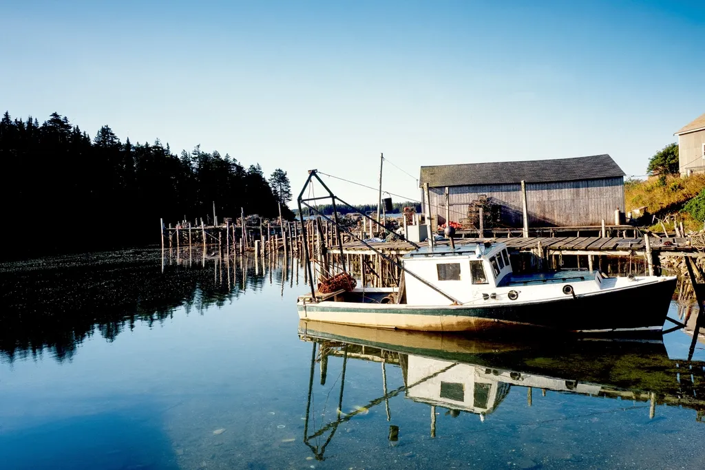 A Fleet That Fills the View (Image Credits: Rawpixel)