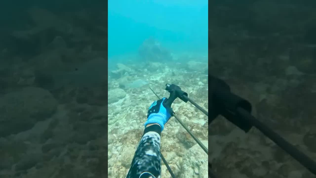 He took an underwater shot - then a reef shark was right behind him