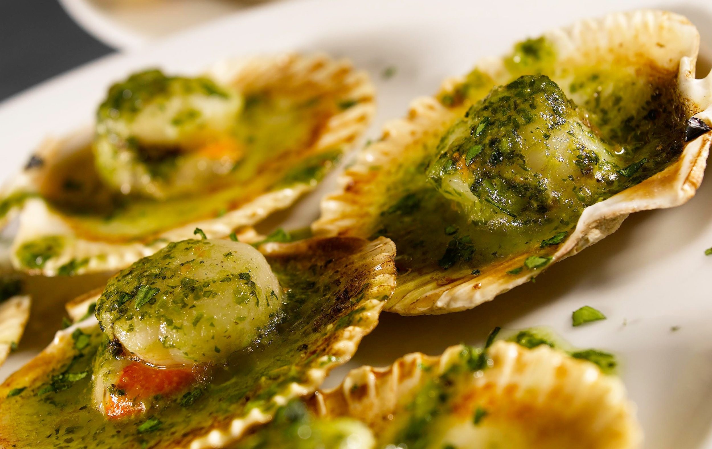 Small seasoned scallops in shells on a plate
