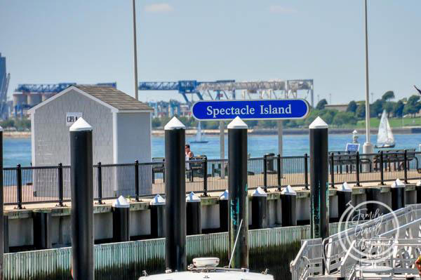 16+ best things to do in Boston with kids