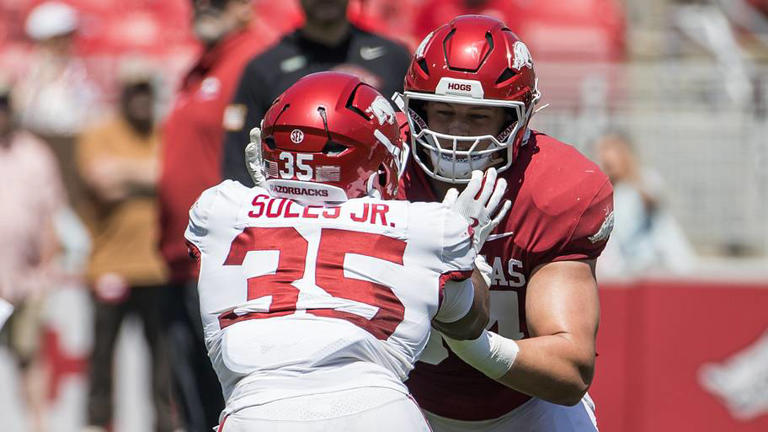 Arkansas football's most important players: No. 16, Steven Soles