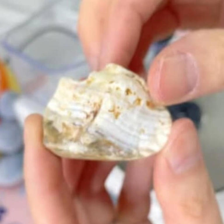 海で拾った地味な石→徹底的に磨くと… まさかの結果に「驚き」「これが