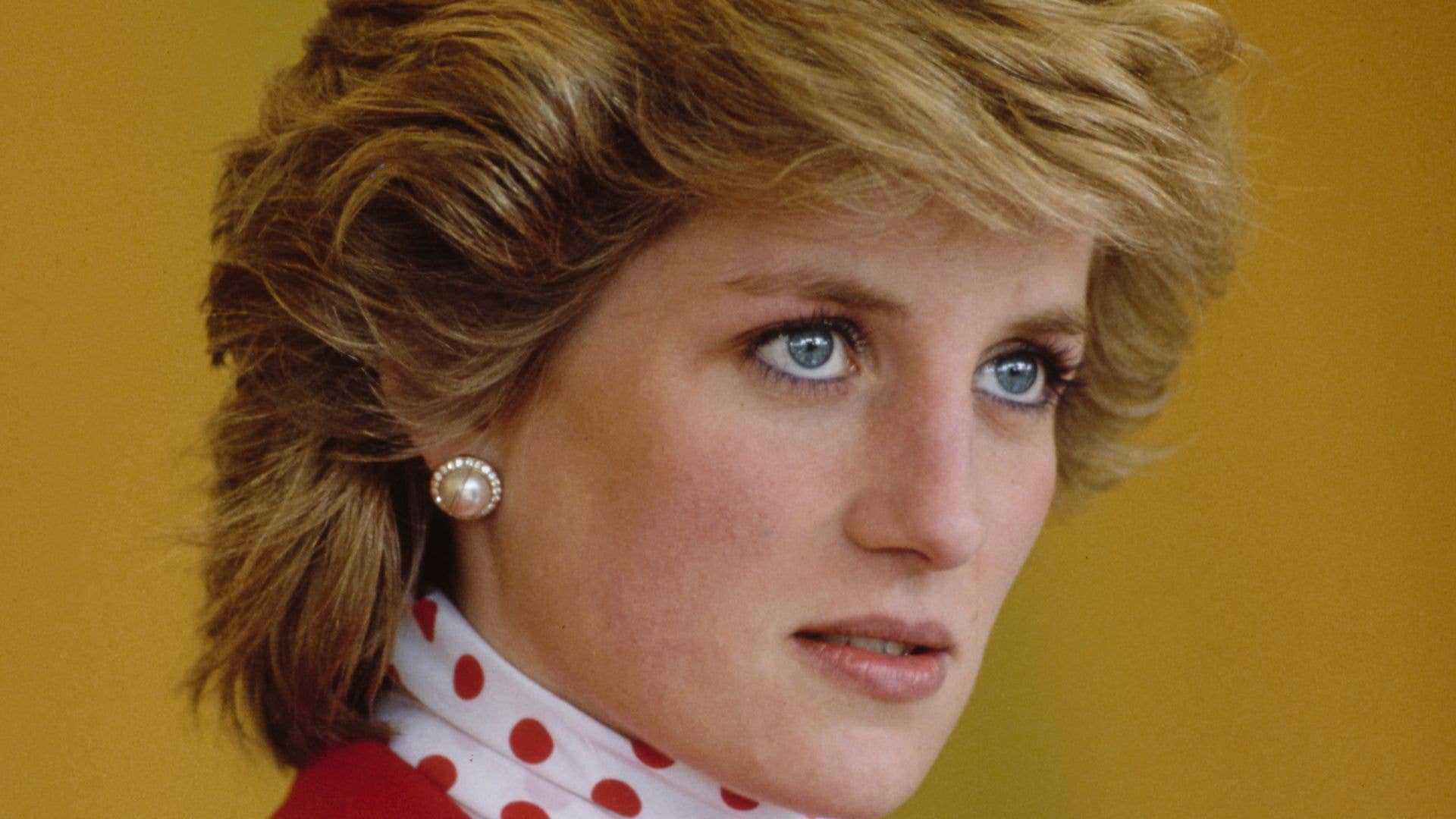 Rare childhood photo of Princess Diana resurfaces with poignant 5-word ...