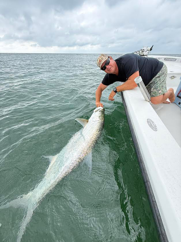 Large North Carolina tarpon