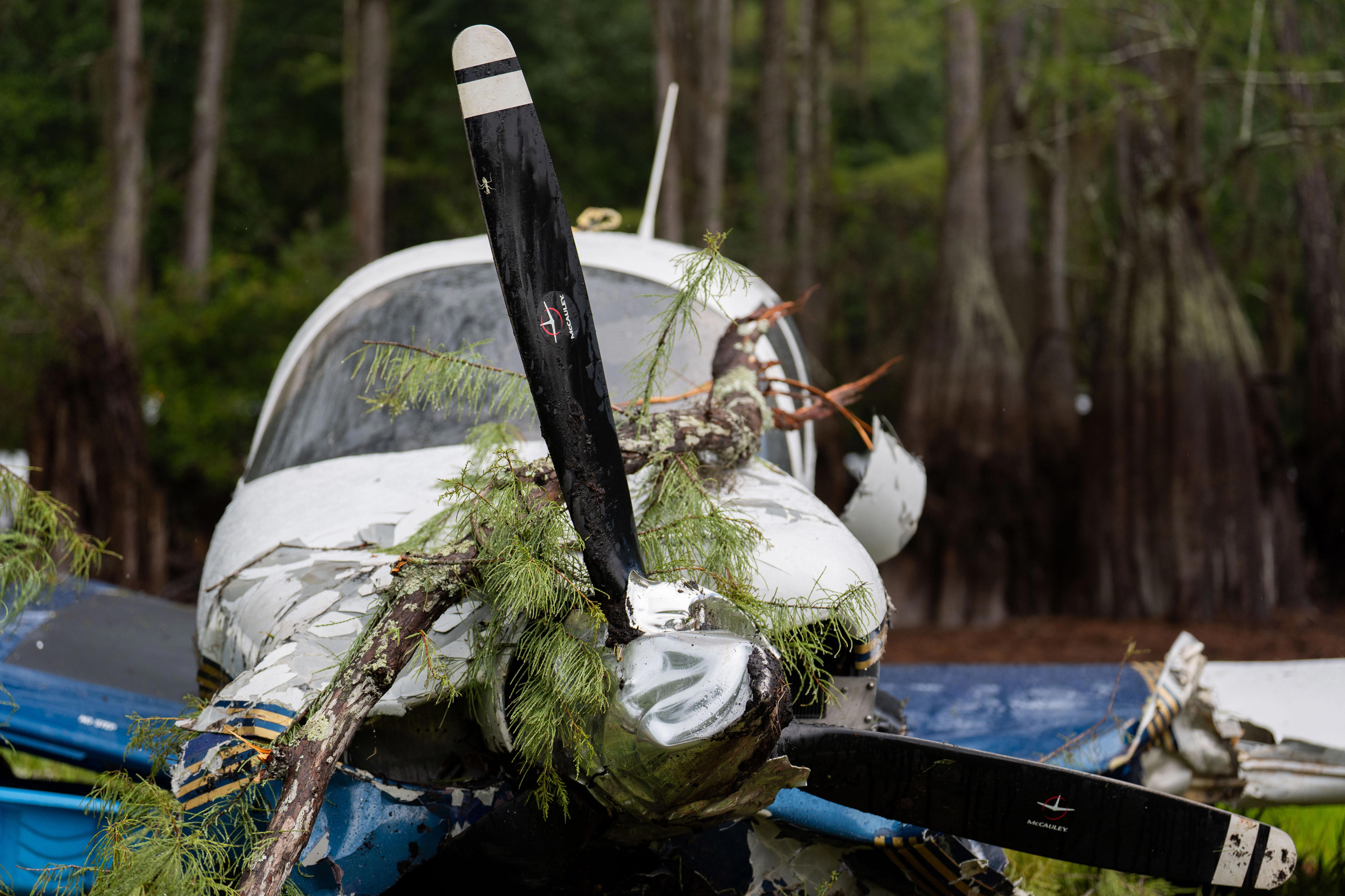 Pilot suffers only minor injuries after crash in Tallahassee trees