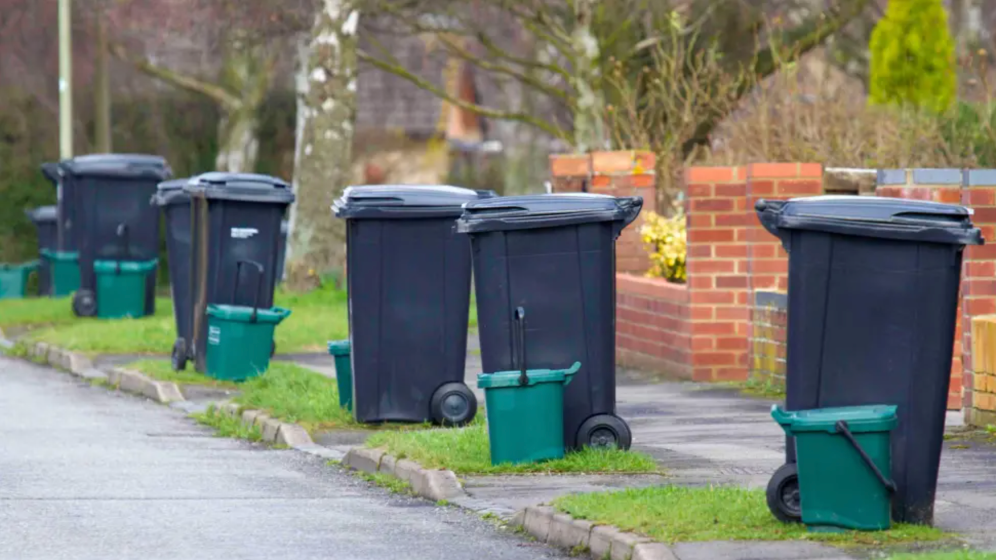 Three-month wait for new bins 'not good enough'