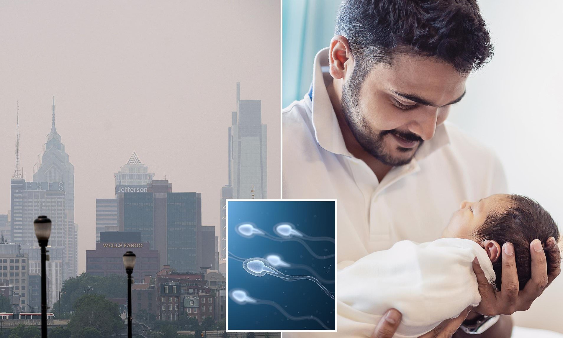 Invisible toxins breathed in by millions may alter how sperm functions with devastating impacts