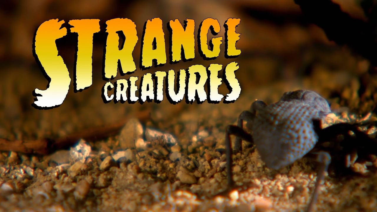 How stench keeps these animals alive | EP1 | Strange creatures S1