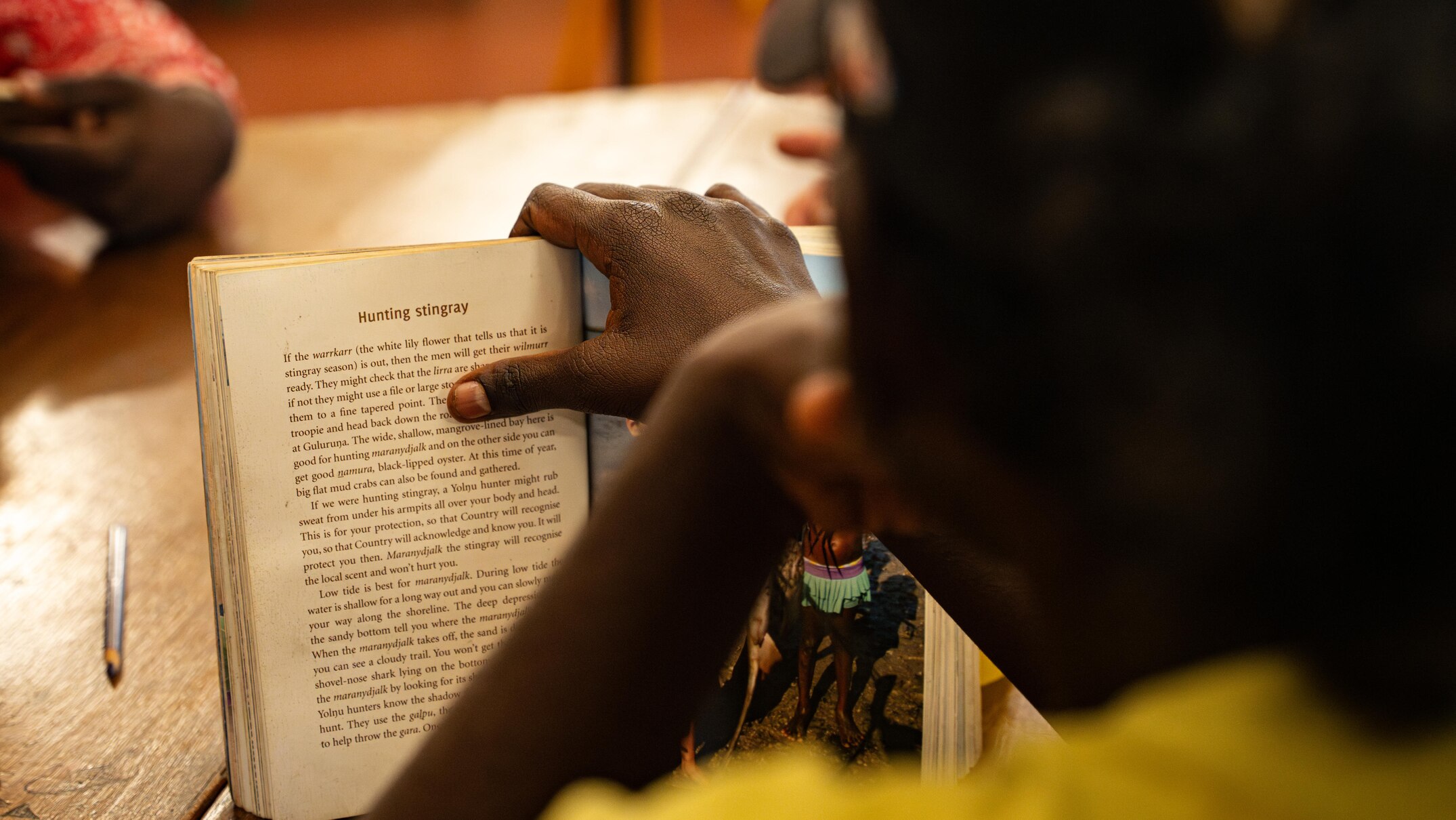 NT Aboriginal language speakers call for stronger language revival efforts