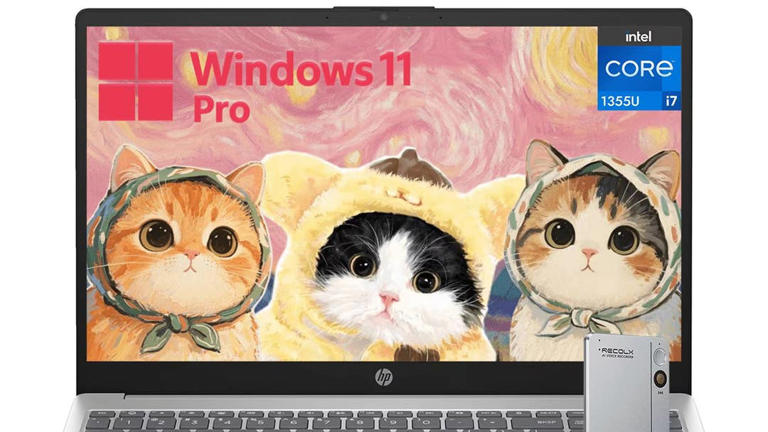 Why Walmart's 2-in-1 touchscreen laptop is worth adding to your cart