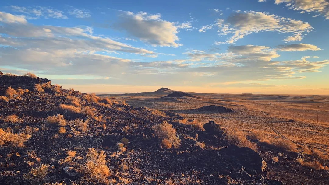3. Albuquerque, New Mexico (Image Credits: Unsplash)