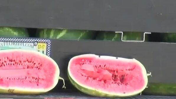 July named 'Georgia Grown Watermelon Month'