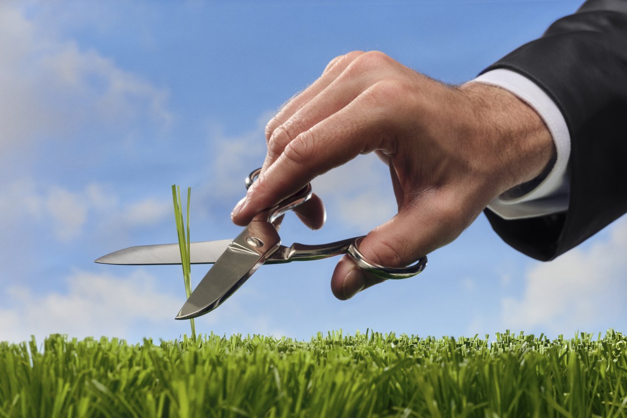 Why white-collar men are obsessed with the perfect lawn