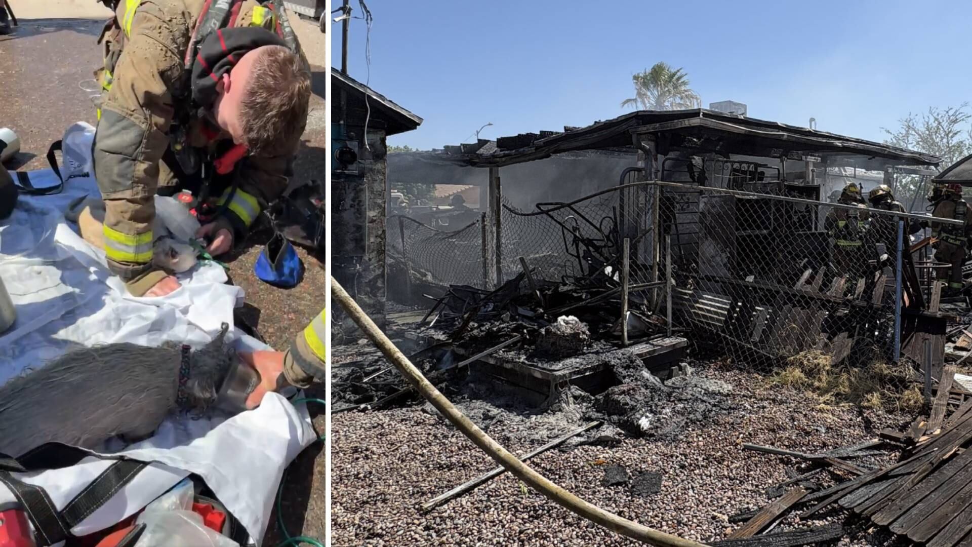 2 dogs rescued after double house fire near Phoenix Sky Harbor