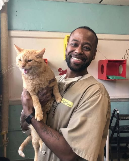 From Cell Blocks to Cuddles: Convicts Save