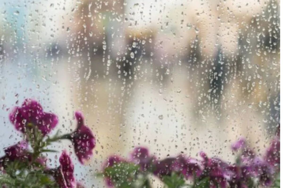 Weather: Rain and evening showers expected in one province