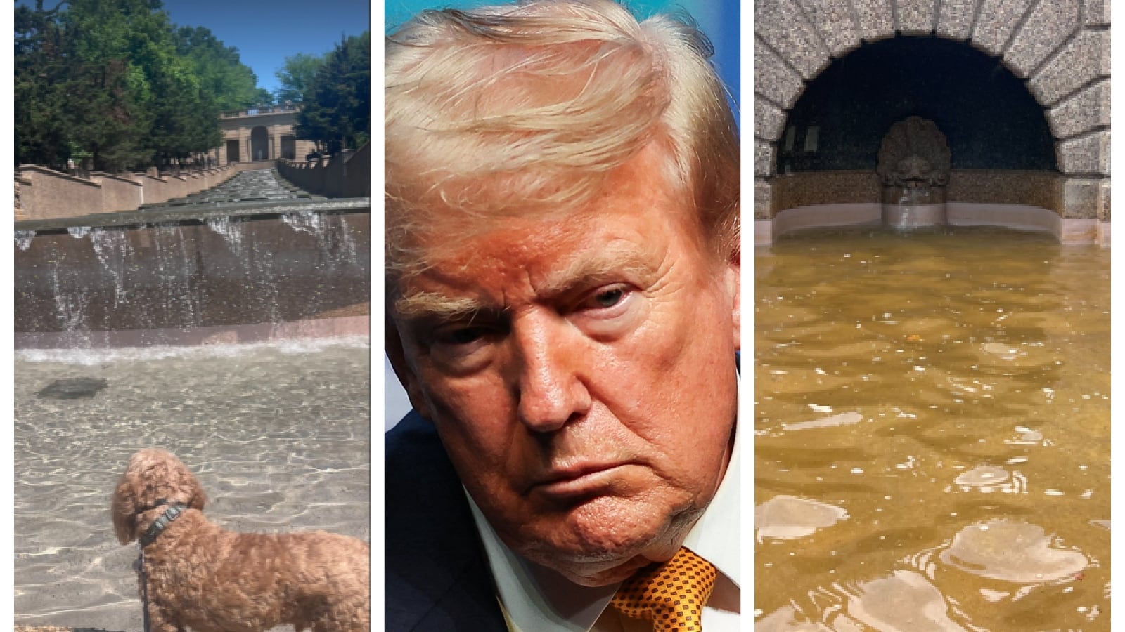 Trump humiliated as DC fountain he restored turns brown