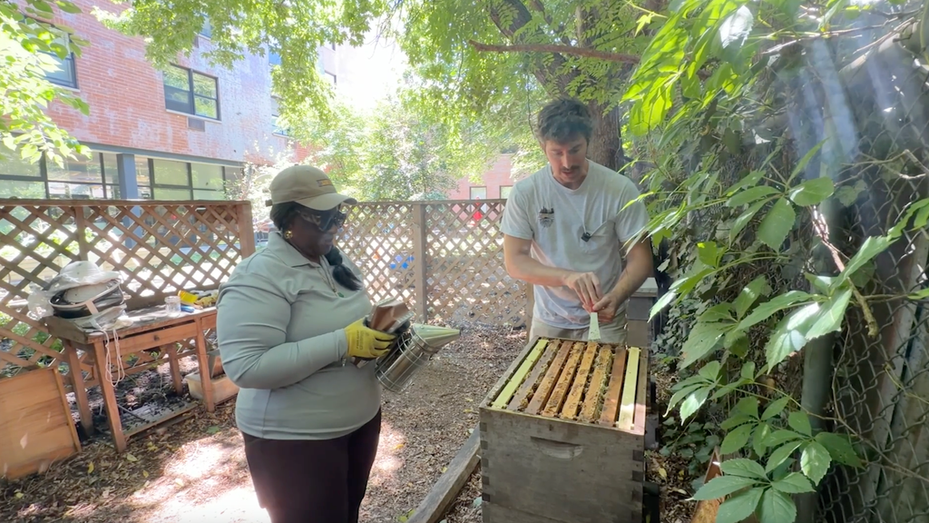 Brooklyn beekeeping program helps people with disabilities build skills, community and confidence