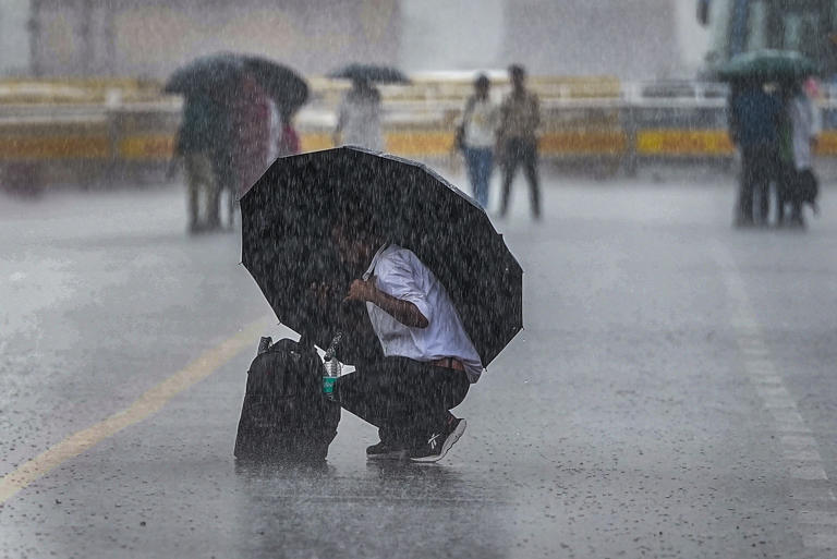 Delhi paralysed after torrential rain; roads turn to rivers, trees uprooted, 3 dead