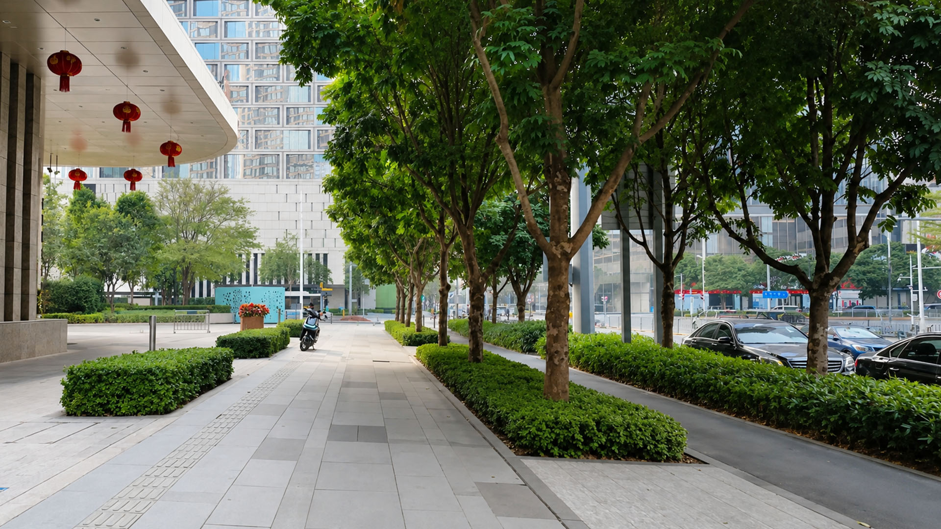 Urban greenery complements contemporary architecture across Chinese ...