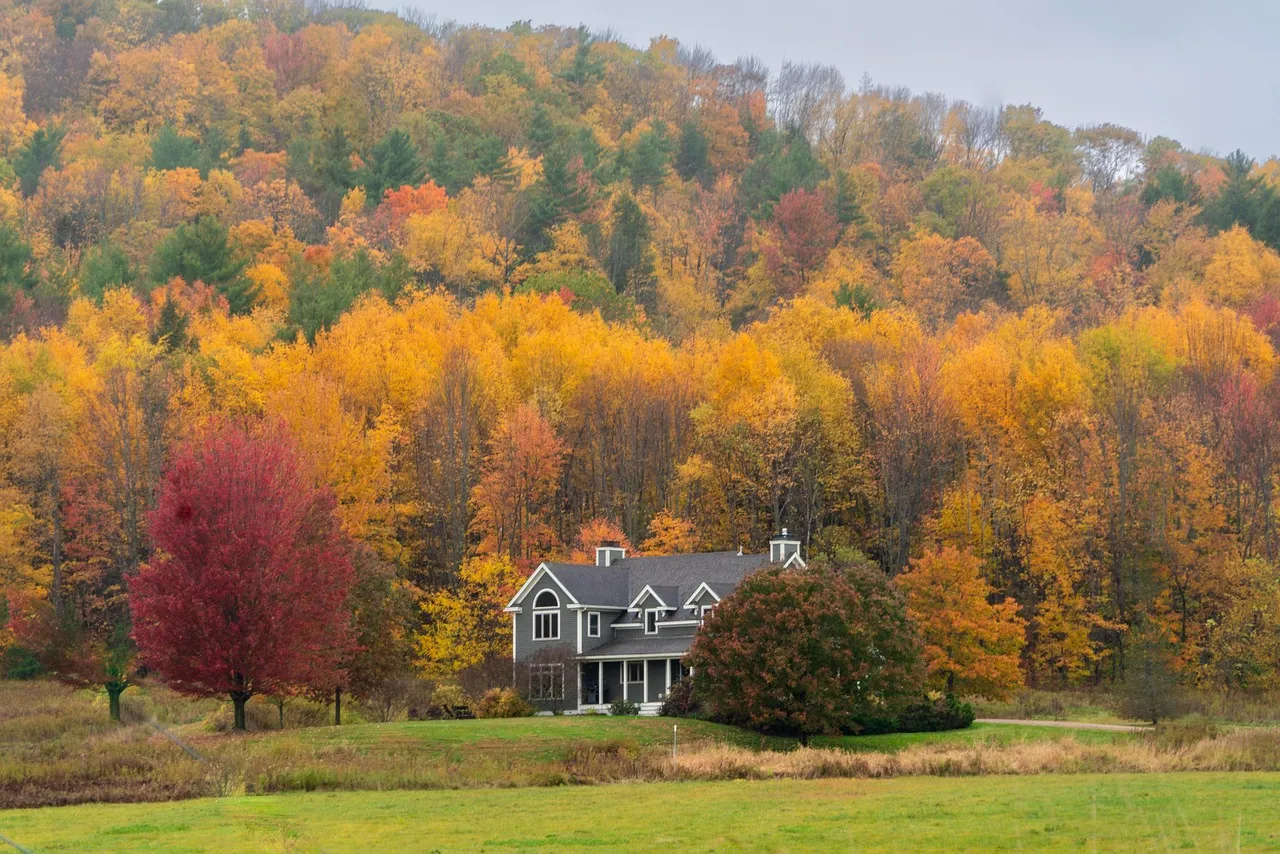 A Vermont Village Steps Into the Spotlight (Image Credits: Pixabay)