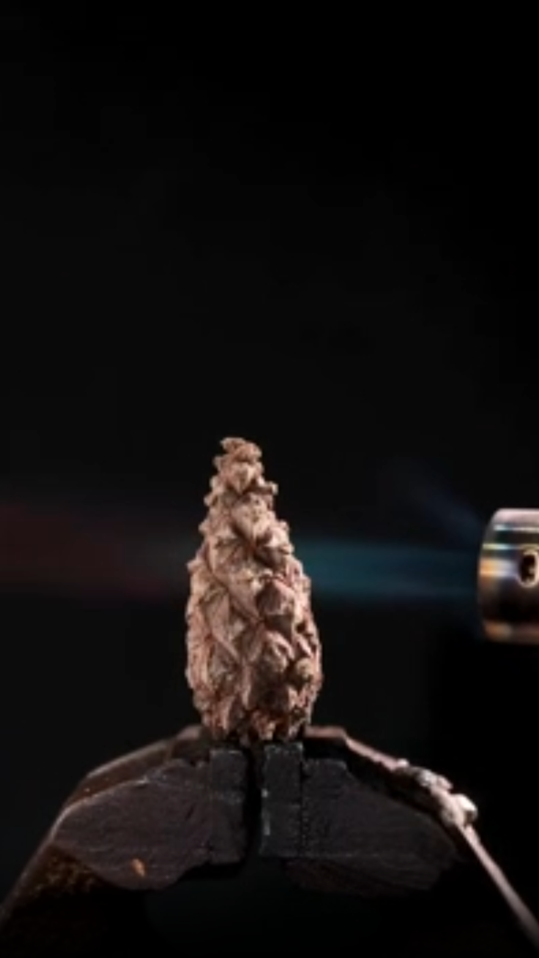 Creative macro art with ASMR sounds