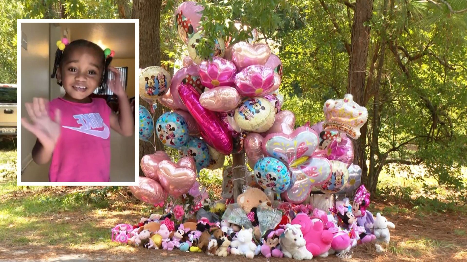 Javeayah Harris’ remains were destroyed with chemicals, sheriff says