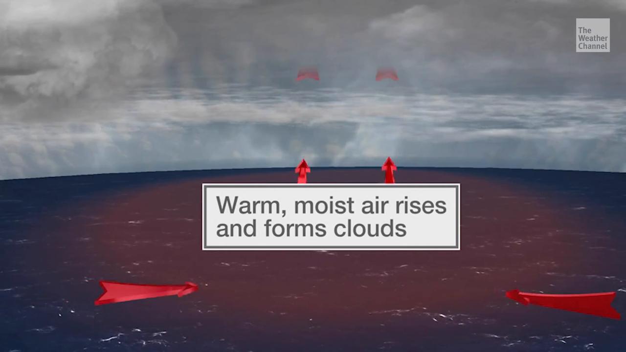 Here's how hurricanes form