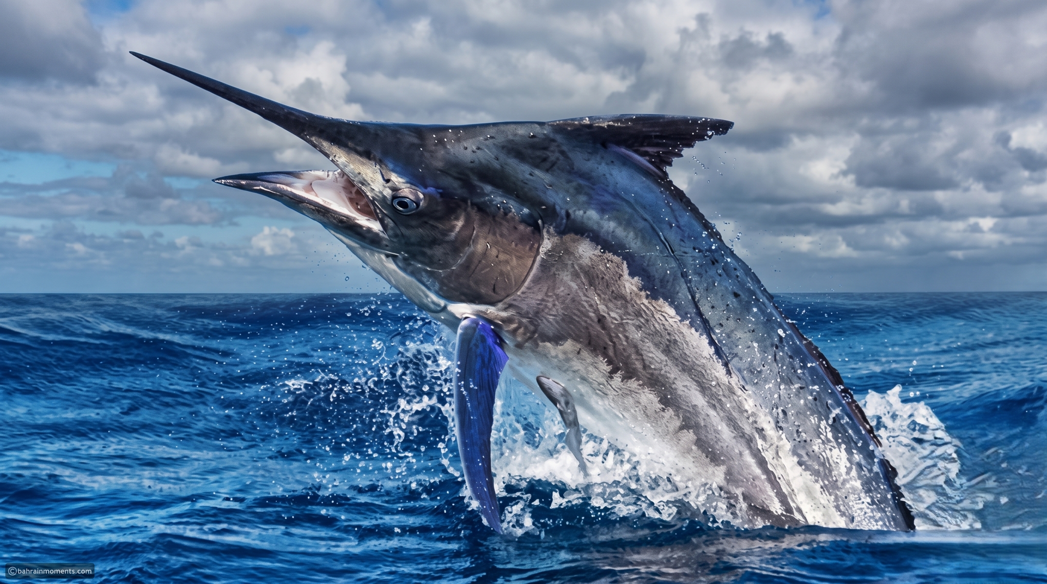 10 fastest animals on Earth and what makes them so quick