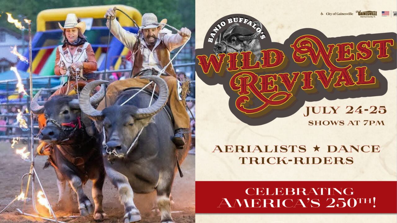 Water buffalo featured in North Central Florida rodeos celebrating ...