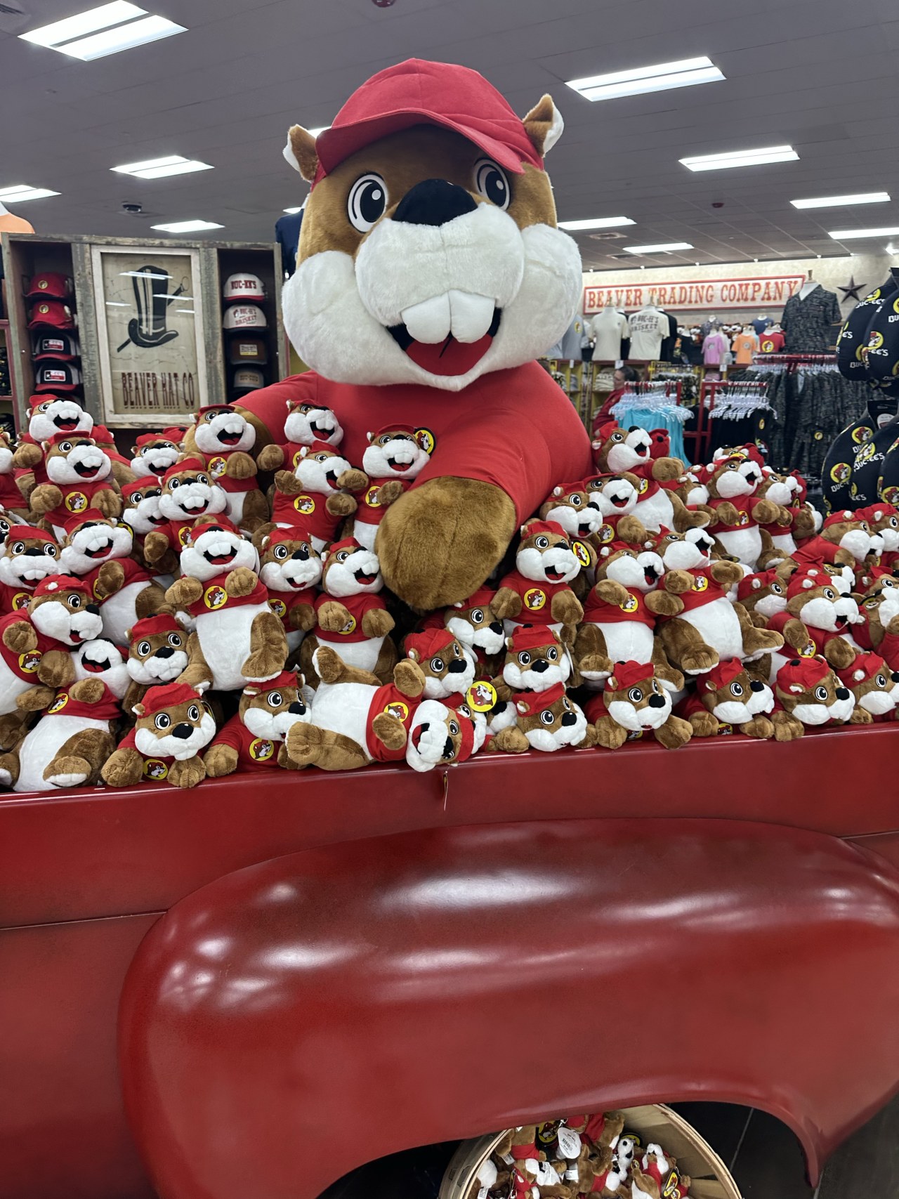 Buc-ee's is on a rampage and no mascot is safe