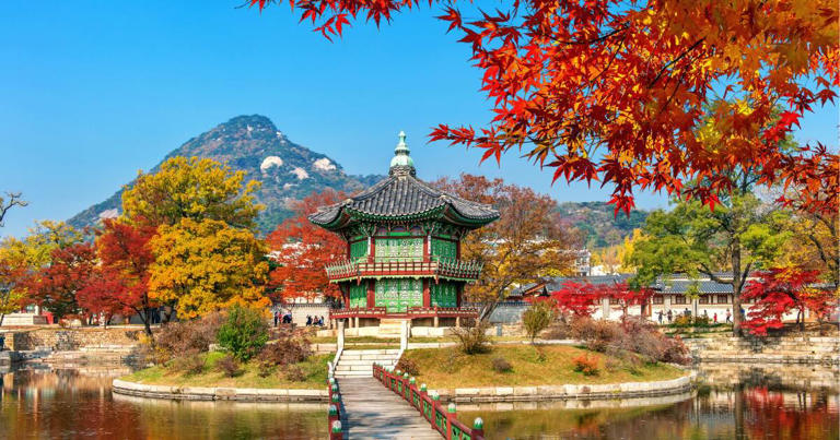 South Korea eases eligibility rules for digital nomad visa