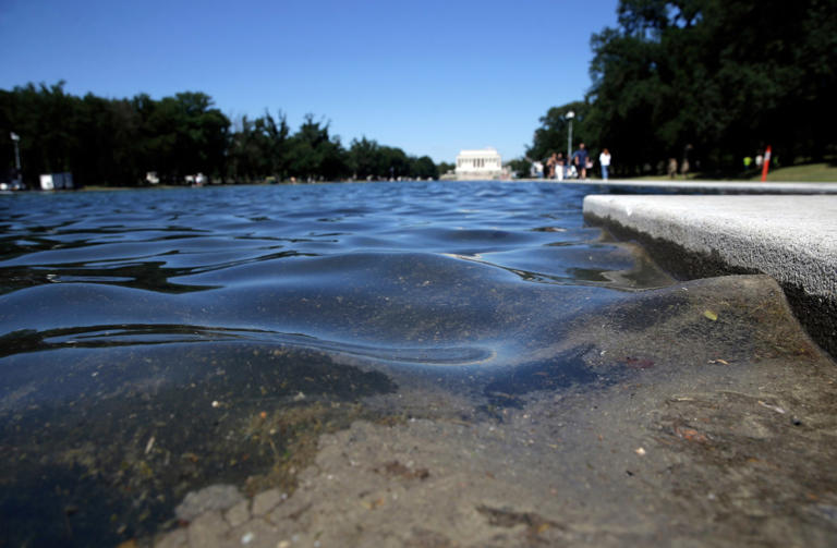 Three people charged with damaging reflecting pool identified: what to know