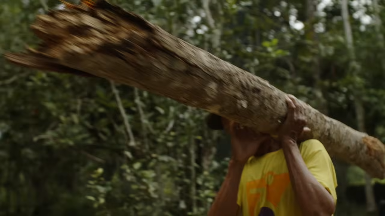 Watch how he survived jaguars, snakes, and 39 years alone in the Amazon