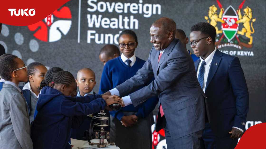 Sovereign wealth fund must be anchored on integrity, not just legislation