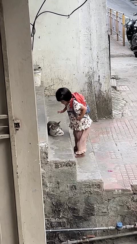 Young girl shares sweet moment with friendly street cat
