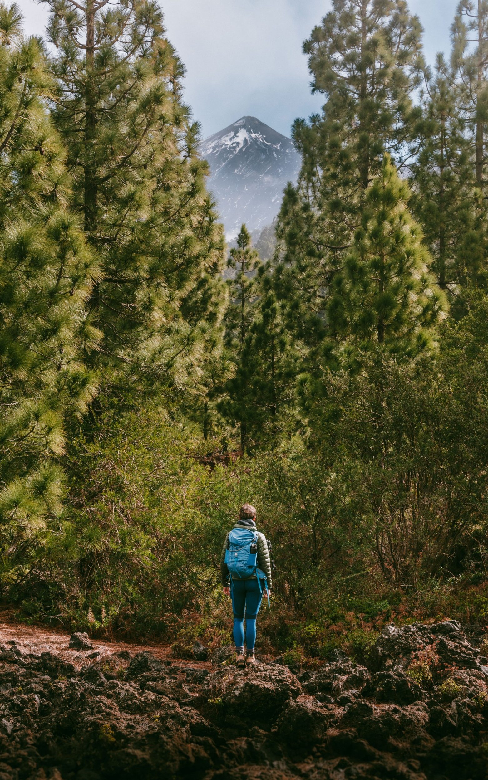 Teide Volcano from behind the pine trees, Tenerife