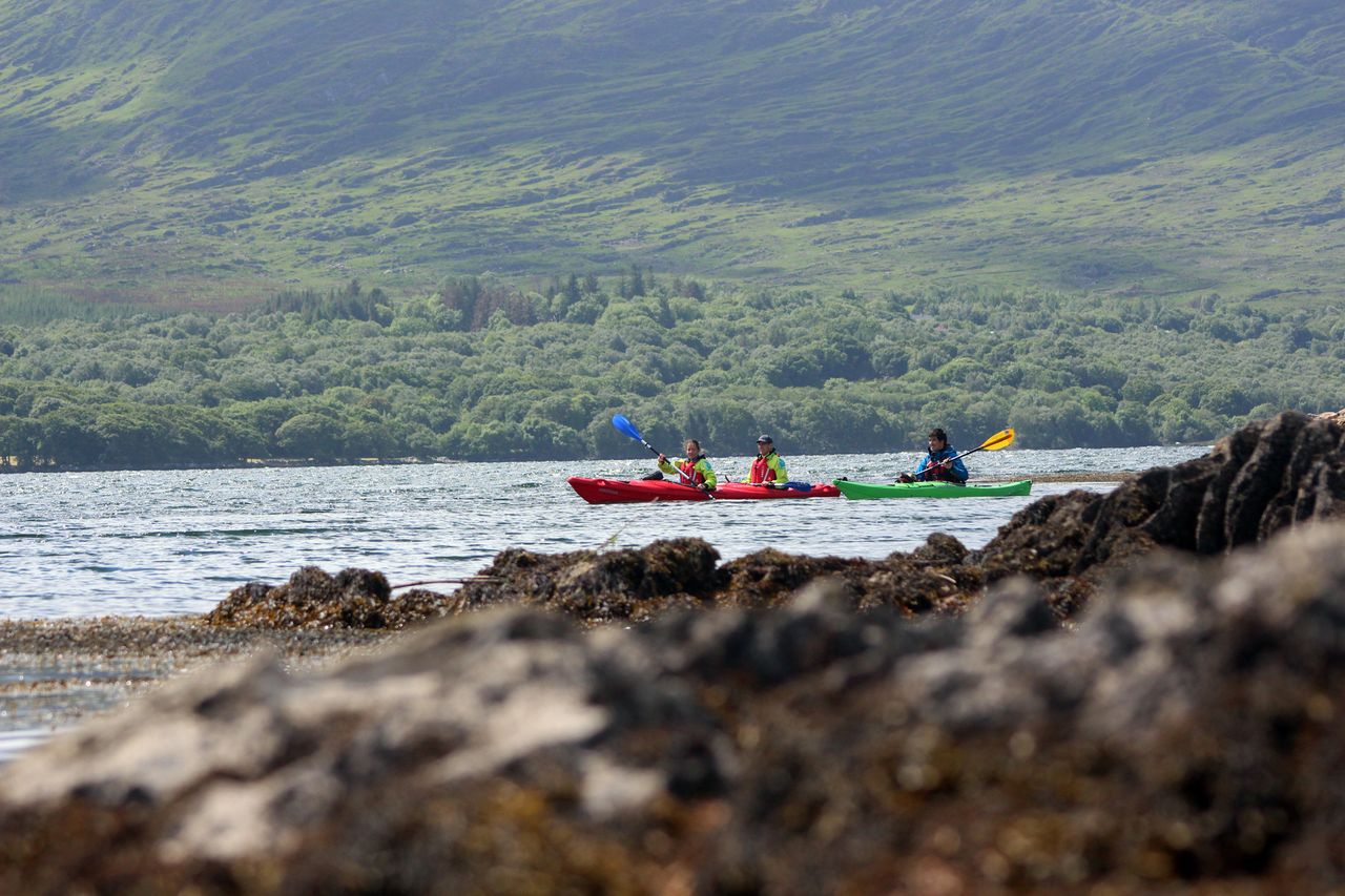 People kayaking on a lake green landscape in the background